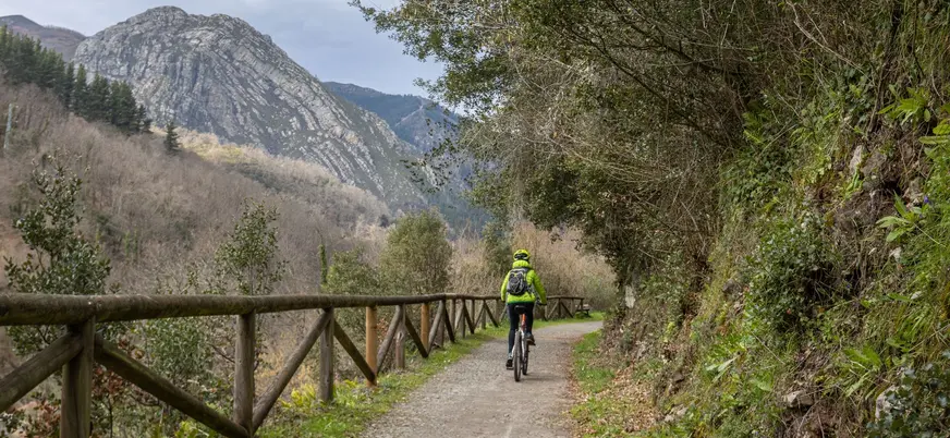 Senda del Oso, Proaza, Asturias