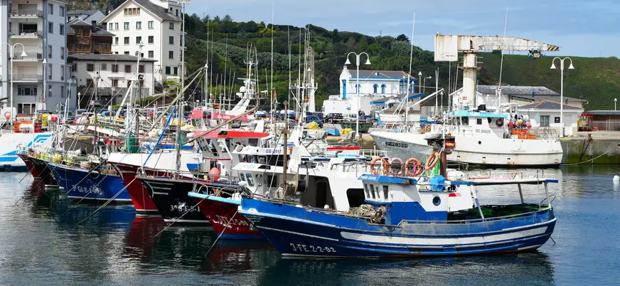 Barcos de pesca amarrados en el puerto de Luarca
