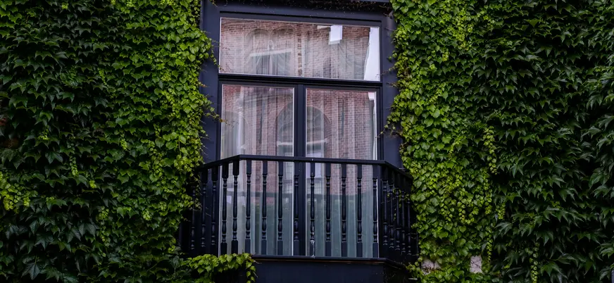 Balcón con barandilla negra sobre muro de hiedra verde en Brujas, Bélgica.