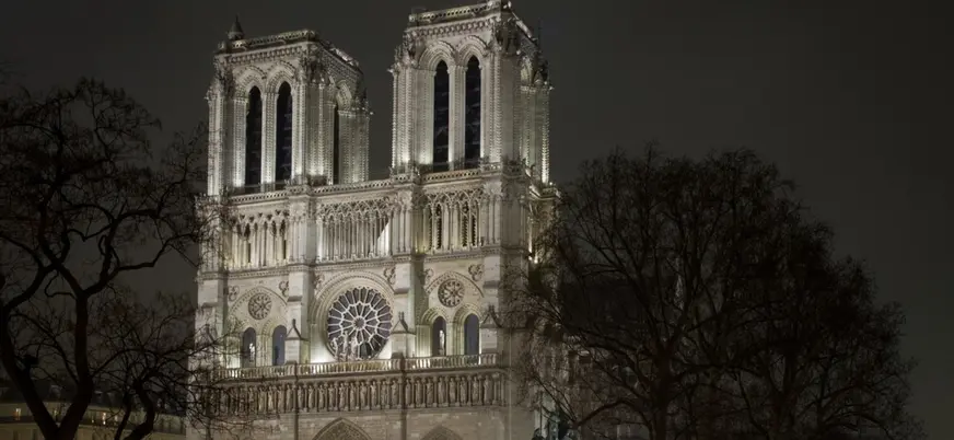Fachada de la Catedral de Notre Dame iluminada de noche entre árboles en París.