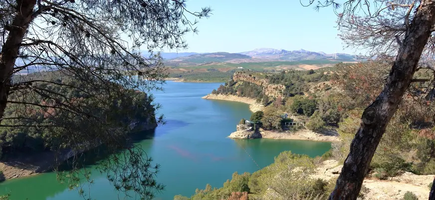 Vista del pantano de El Chorro desde un mirador entre pinos, destacando el paisaje natural de Málaga