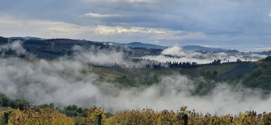Niebla matutina sobre los viñedos y colinas del paisaje de la Toscana