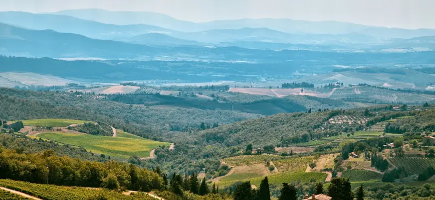 Panorámica de colinas y viñedos infinitos en la región de la Toscana