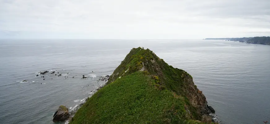 Acantilado junto a la Regalina, Cadavedo Asturias España