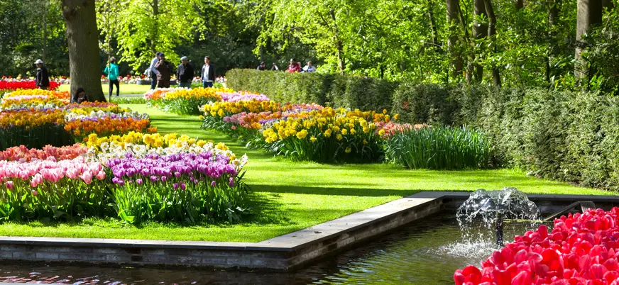 Excursión grupos reducidos parque Keukenhof desde Utrecht