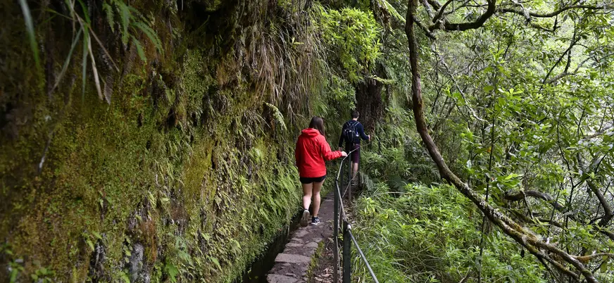 excursionistas sendero levada do caldeirao verde madeira portugal