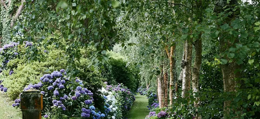 Sendero n el jardín de Fonte Baxa, Luarca, Asturias