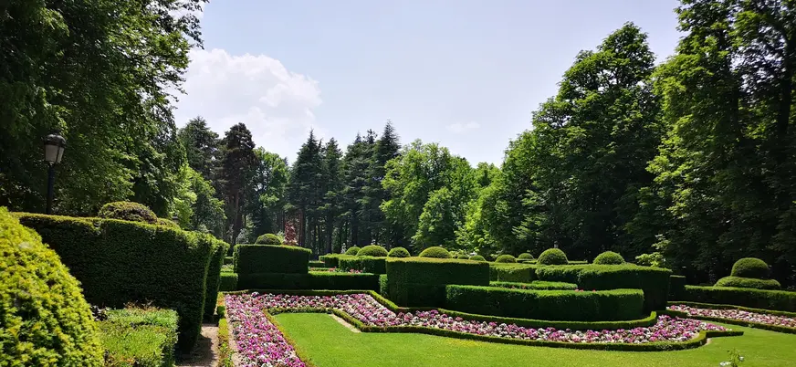 Diseño de setos y flores rosas en los jardines de La Granja