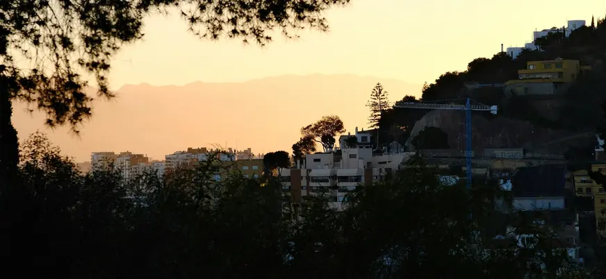 Vistas de Málaga entre árboles: edificios y montañas bajo un cielo de atardecer.