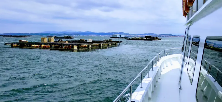 Paseo en catamarán por las bateas de mejillón en la ría de O Grove, Pontevedra