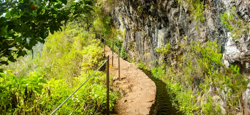 Sendero verde Levada do Caldeirão verde Madeira Portugal