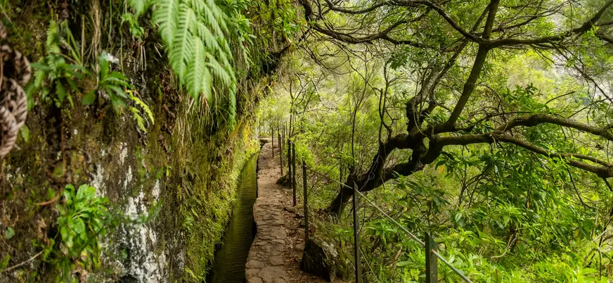 Sendero verde Levada do Caldeirão Verde madeira Portugal