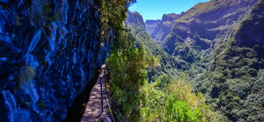 Sendero verde Levada do Caldeirão verde madeira Portugal
