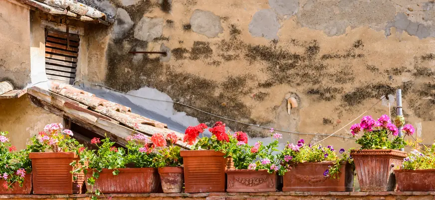 Macetas con flores en fachada rústica de un pueblo de la Toscana, Italia