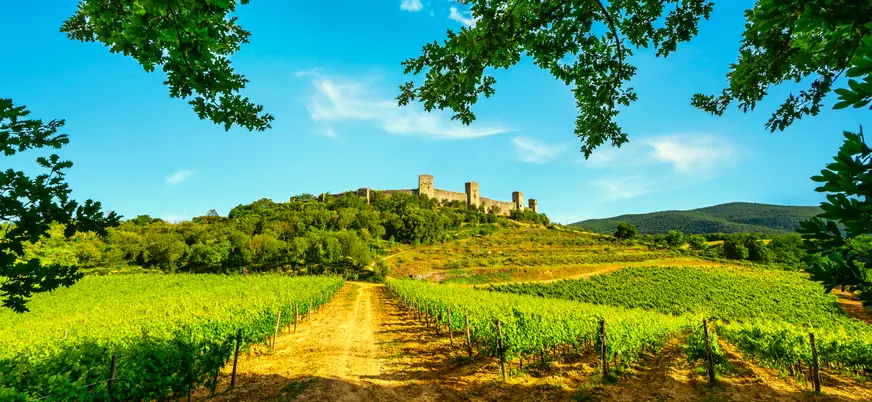 Viñedos y camino hacia un castillo medieval en la Toscana, Italia