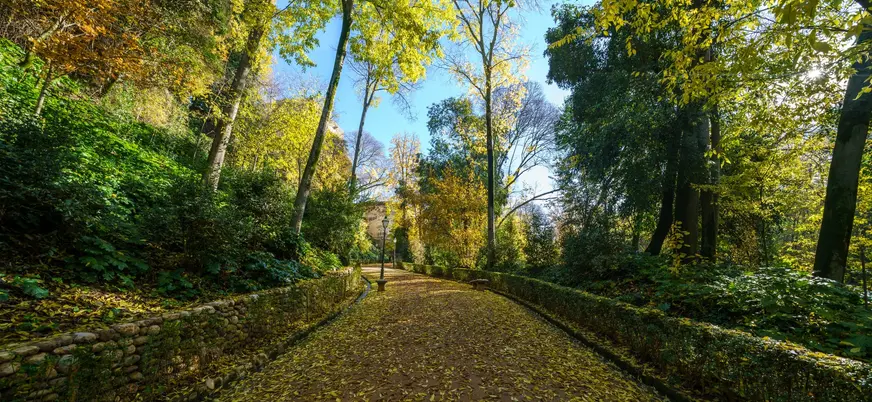 Sendero en los bosques de la Alhambra, Granada.