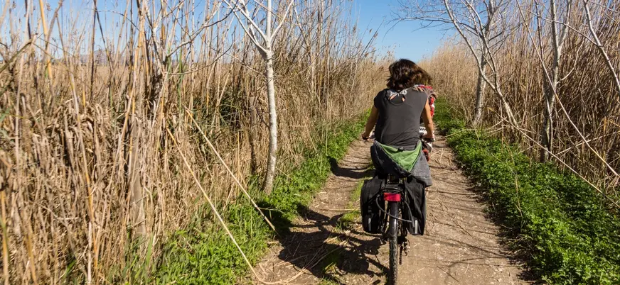 Ciclistas en sendero natural de la Albufera de Valencia