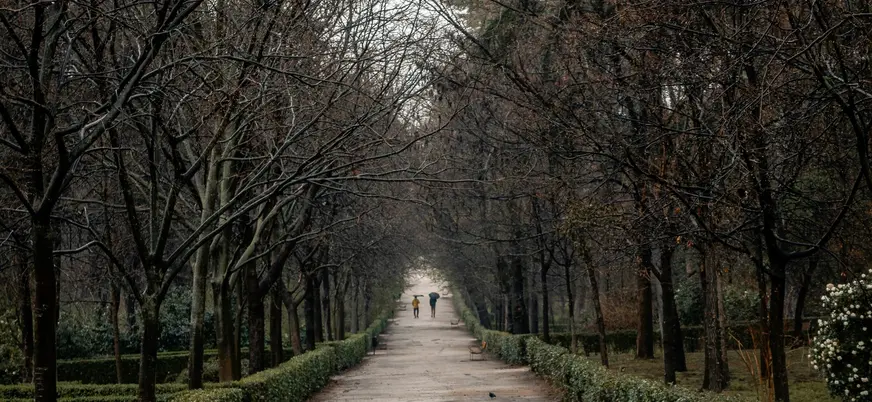 Paseo arbolado en El Retiro, Madrid.
