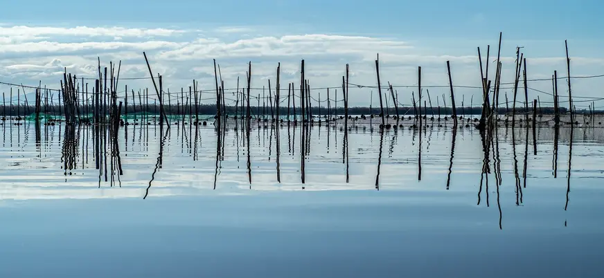 Redes de pesca tradicionales reflejadas en el agua de la Albufera de Valencia.