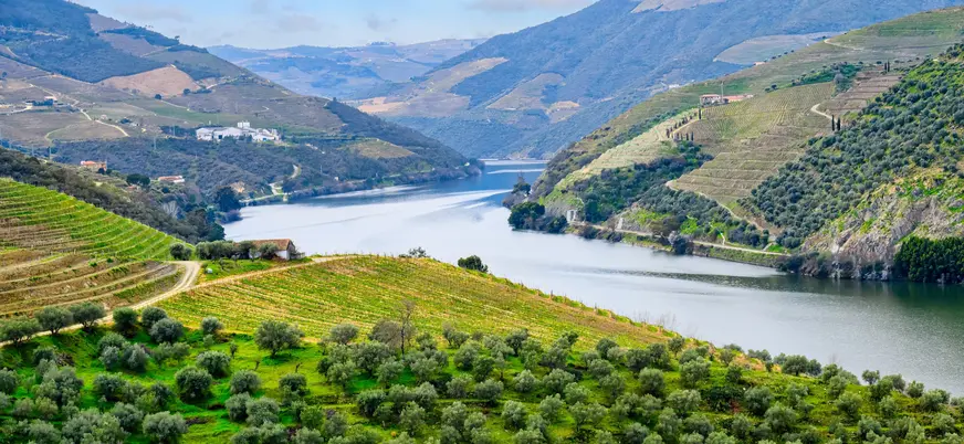 Vistas del río Duero entre viñedos y colinas verdes en un paisaje tranquilo.