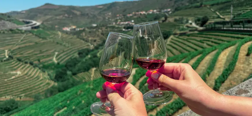 Brindis con vino frente a las terrazas de viñedos del Valle del Duero en un día soleado.