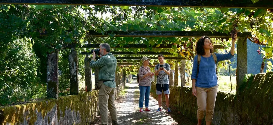 Grupo visitando viñedos de Albariño en Cambados, Pontevedra