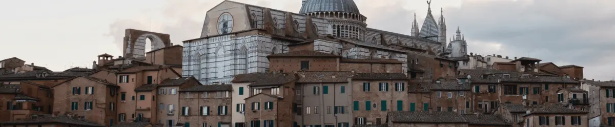 Excursiones a Siena desde Florencia