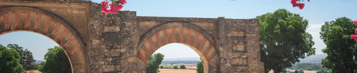 Visitas guiadas a Medina Azahara de Córdoba
