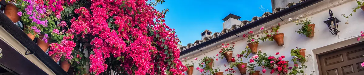 Patios-Córdoba