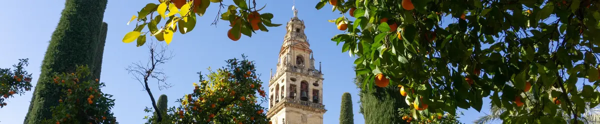 Mezquita-Córdoba