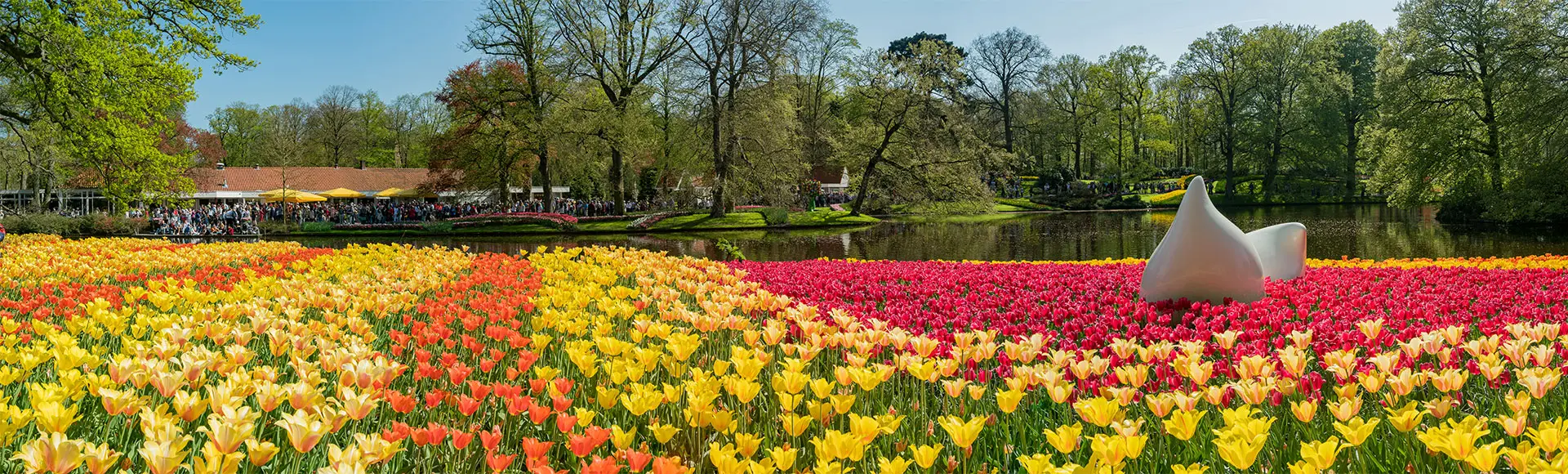 Excursión a los jardines de Keukenhof y crucero por los canales desde Ámsterdam