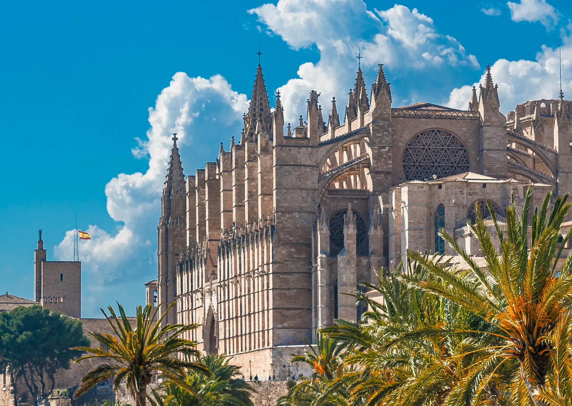 Catedral de Palma de Mallorca - Visita guiada a la Catedral de Palma - Excursiones y Actividades en Palma de Mallorca - Buendía