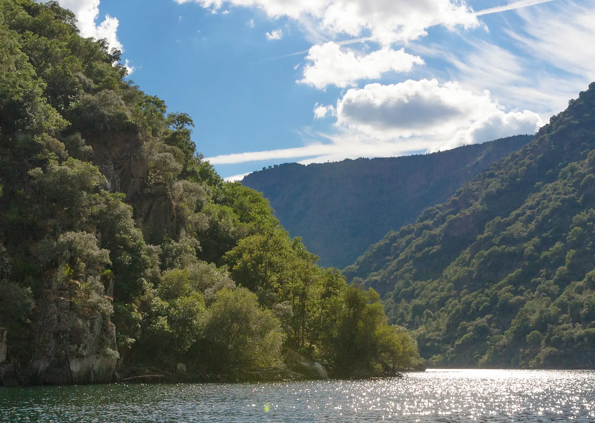 Excursión y cata de vinos en la Ribeira Sacra desde Lugo - Buendía Galicia 
