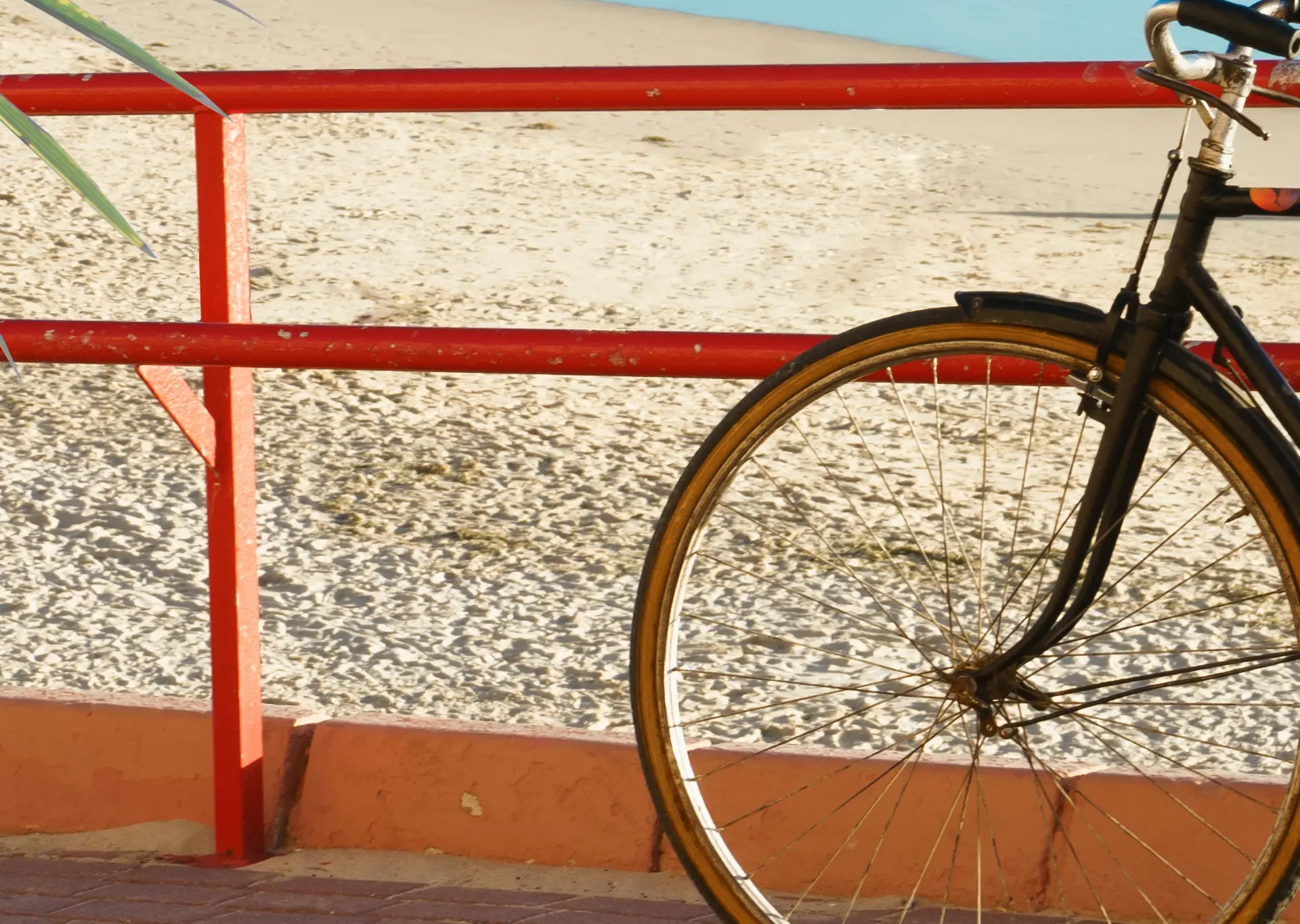 Tour en bici con visita guiada en español por Cádiz - Excursiones y Actividades en Cádiz - Buendía