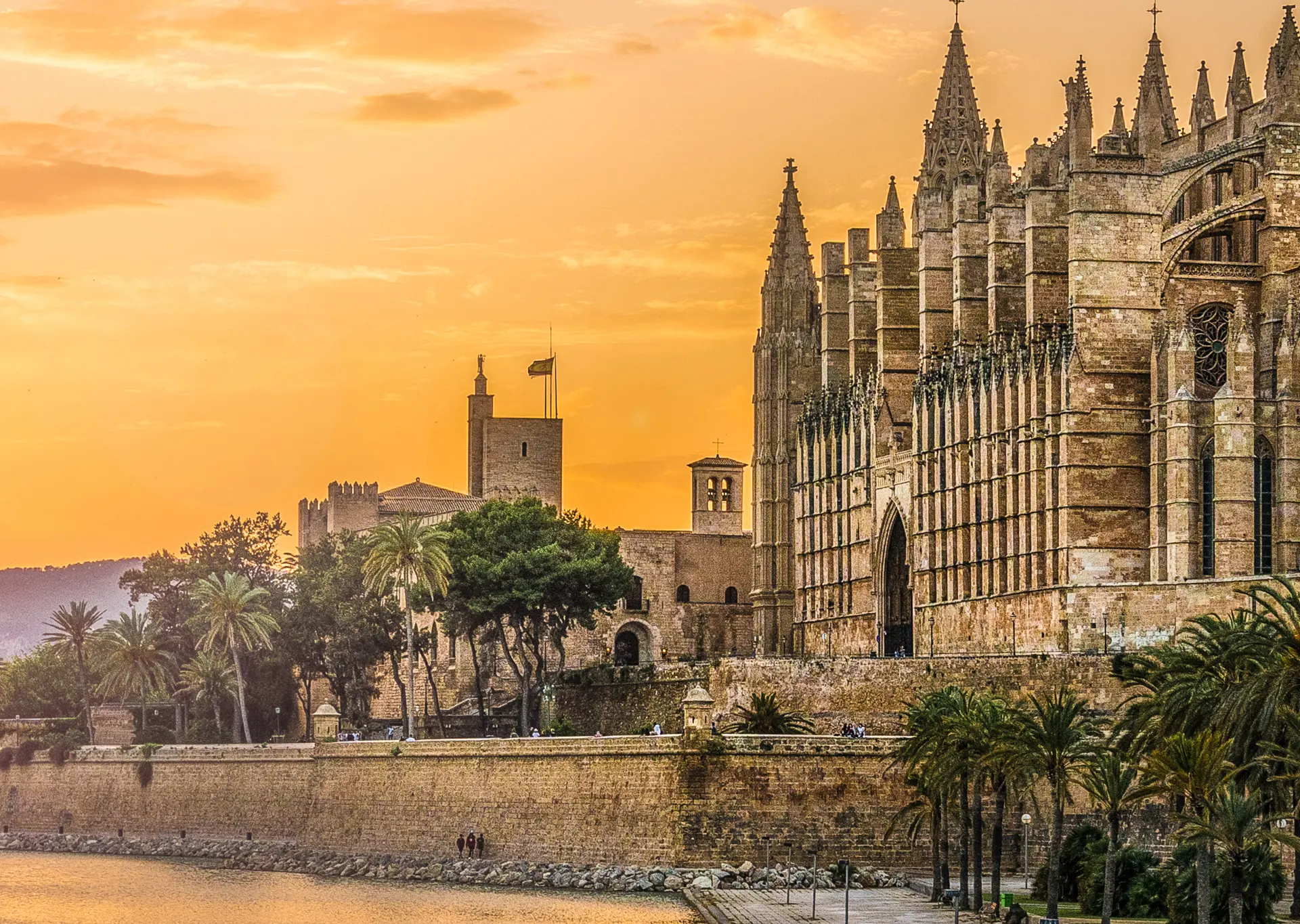 Catedral de Palma - Free tour Palma de Mallorca Imprescindible - Excursiones y Actividades en Palma de Mallorca - Buendía