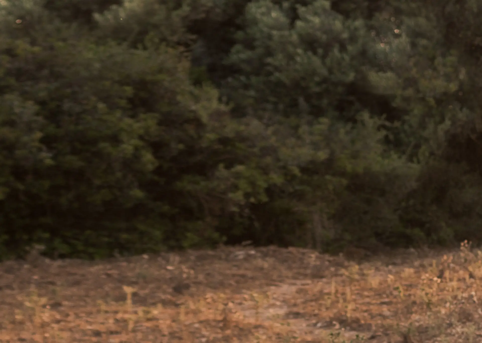 Safari en jeep por Menorca al atardecer