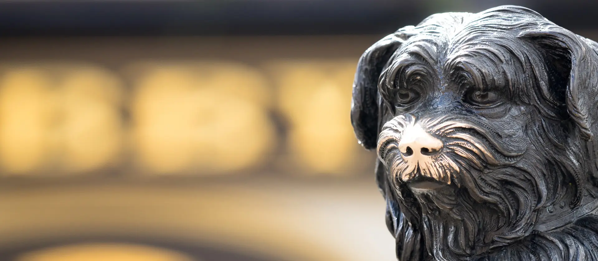 Bobby, el perro más famoso de Edimburgo - Free tour Ciudad vieja de Edimburgo - Buendía Escocia