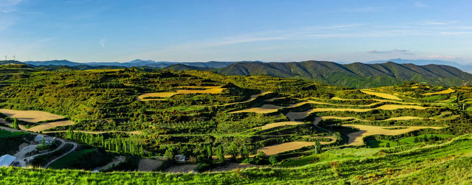 Paisajes y viñedos en terrazas en Navarra - Free tour, excursión, visita guiada, experiencias - Buendía Navarra