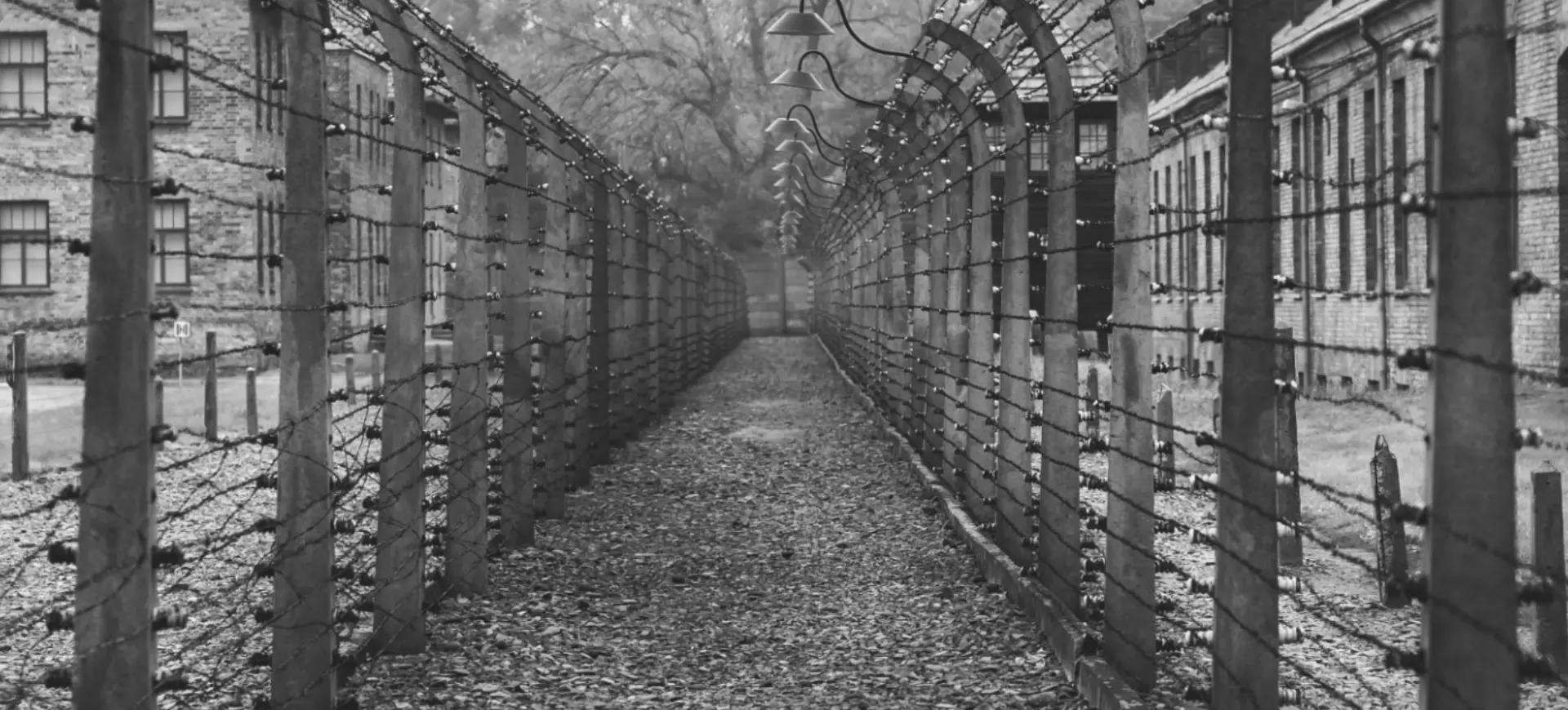 Tour Resistencia Durante el Nazismo - Excursiones y Actividades en español en Múnich - Buendía Tours
