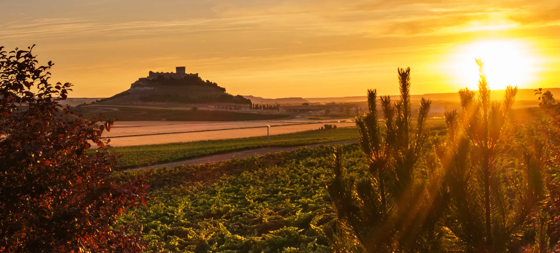 Excursión a Ribera del Duero desde Madrid - Buendía 