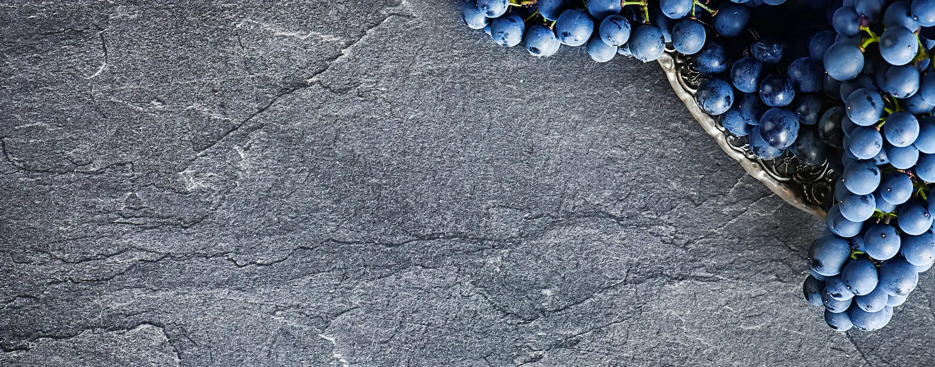 Visita a la bodega Ruiz Torres con cata