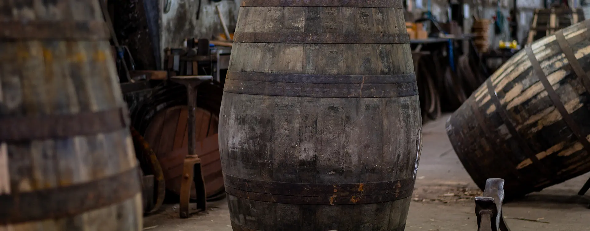 Barricas de vino en Oporto - Tour por Vila Nova de Gaia y sus bodegas - Actividades y Excursiones Buendía Portugal