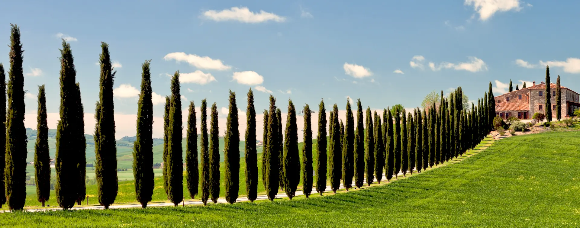 Tour al Valle de Orcia, Montalcino, Pienza y Montepulciano con degustación desde Florencia - Actividades y Excursiones Buendía Toscana, Italia