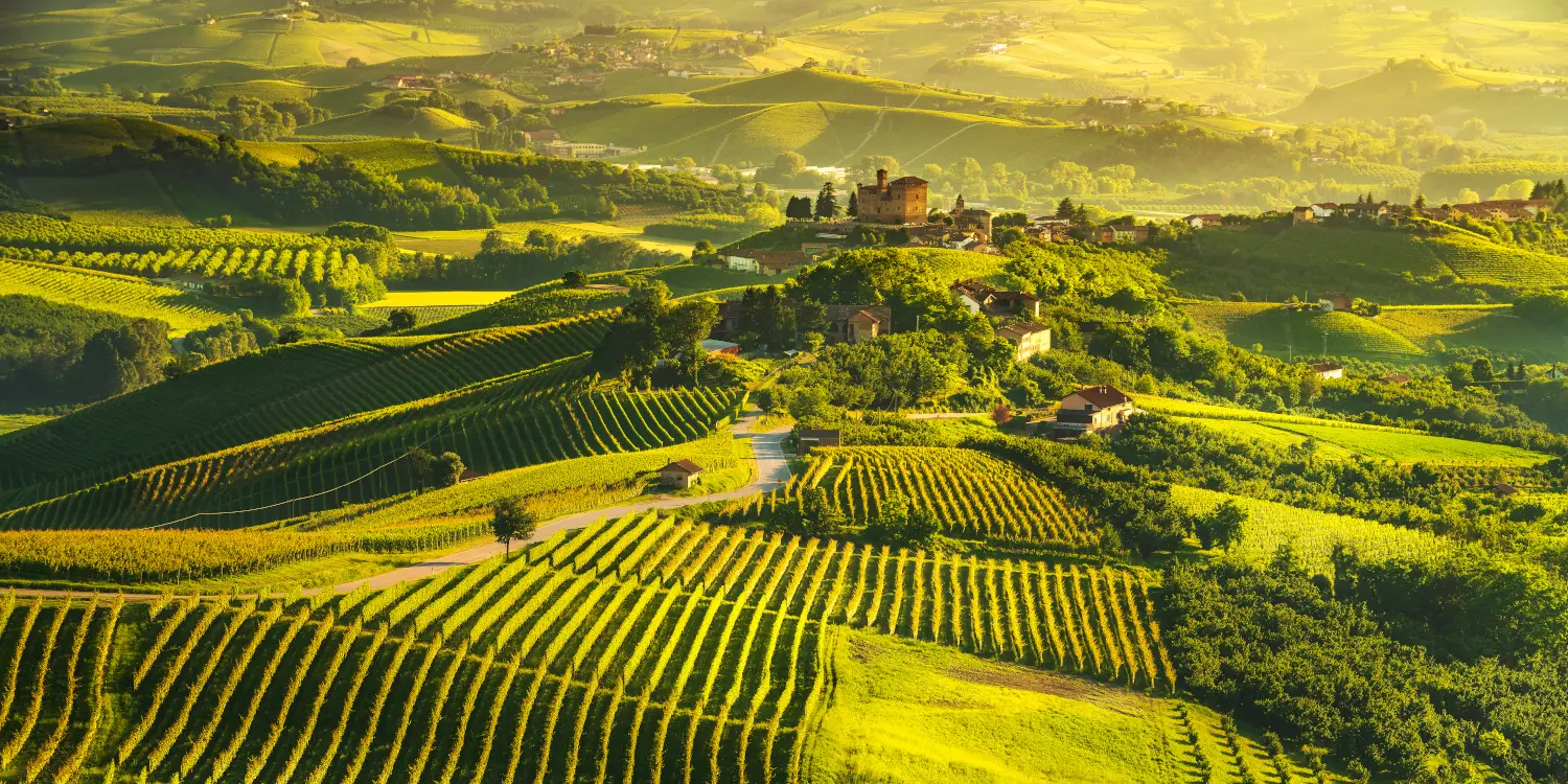 Vista panorámica del paisaje de Chianti, con onduladas colinas cubiertas de viñedos y pequeños pueblos