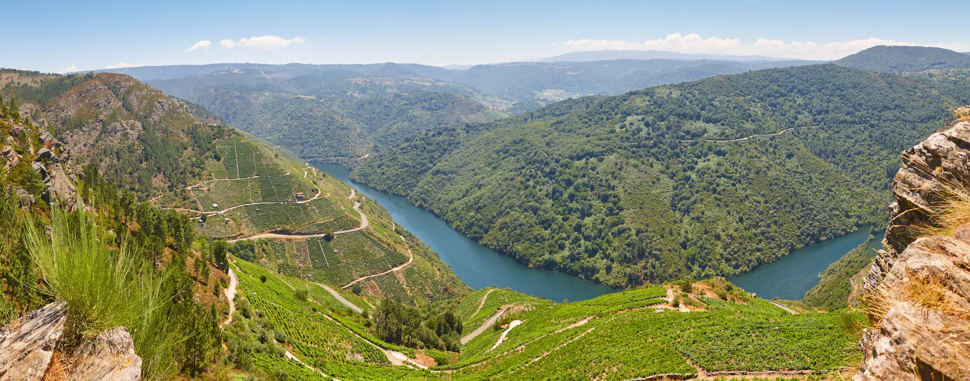 Cañones del río Sil en Ourense - Excursión a la Ribeira Sacra desde Santiago - Excursiones y Actividades en Santiago de Compostela - Buendía 