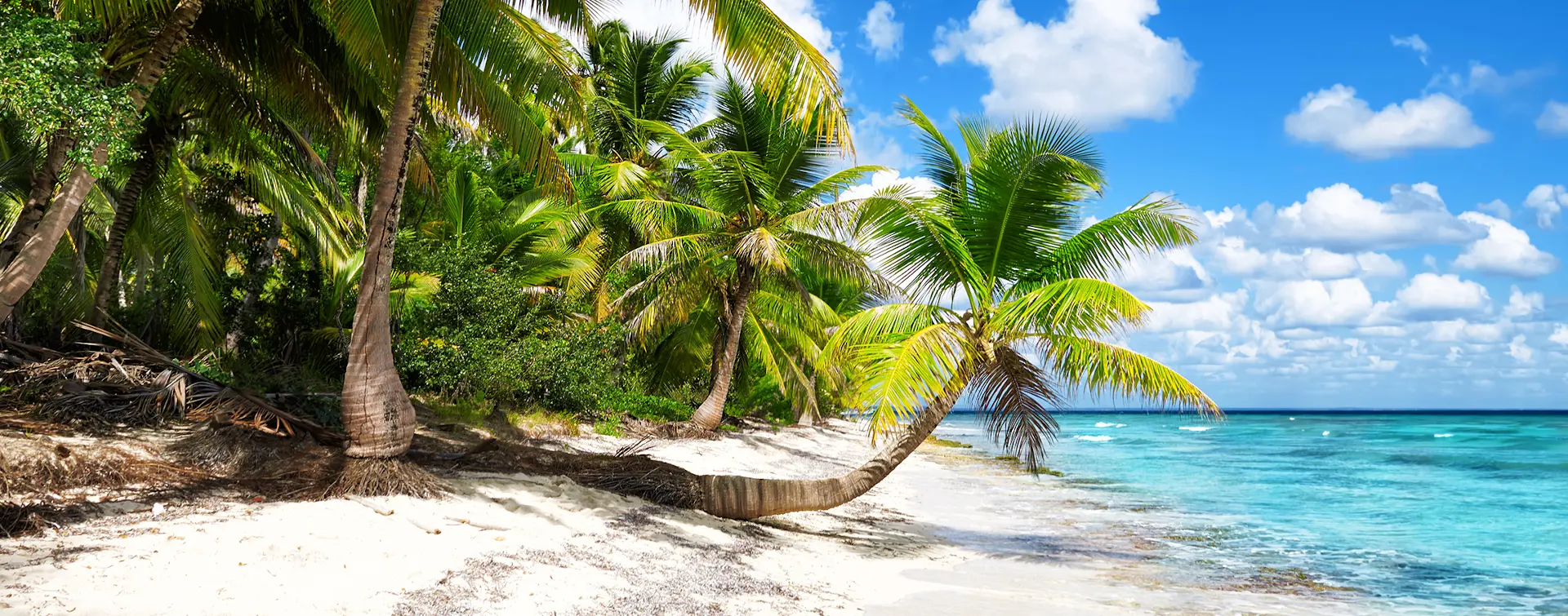 Excursión a Isla Saona con almuerzo desde Punta Cana- Tours turísticos y Actividades Buendía Republica Dominicana