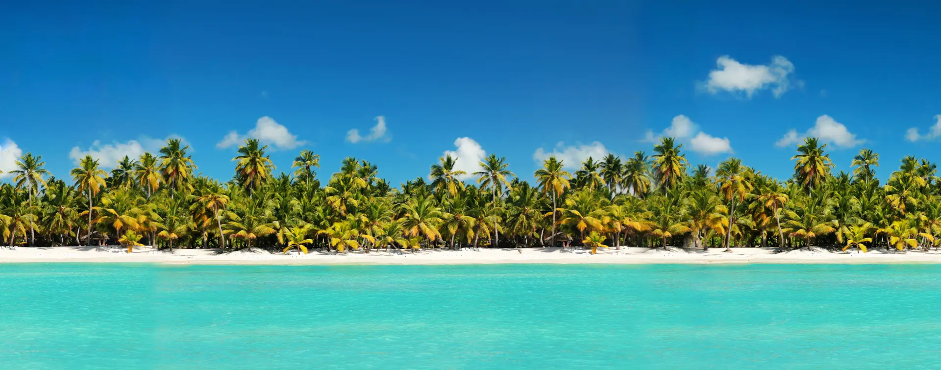 Excursiones, Visitas guiadas, Actividades, Free tours Buendía República Dominicana