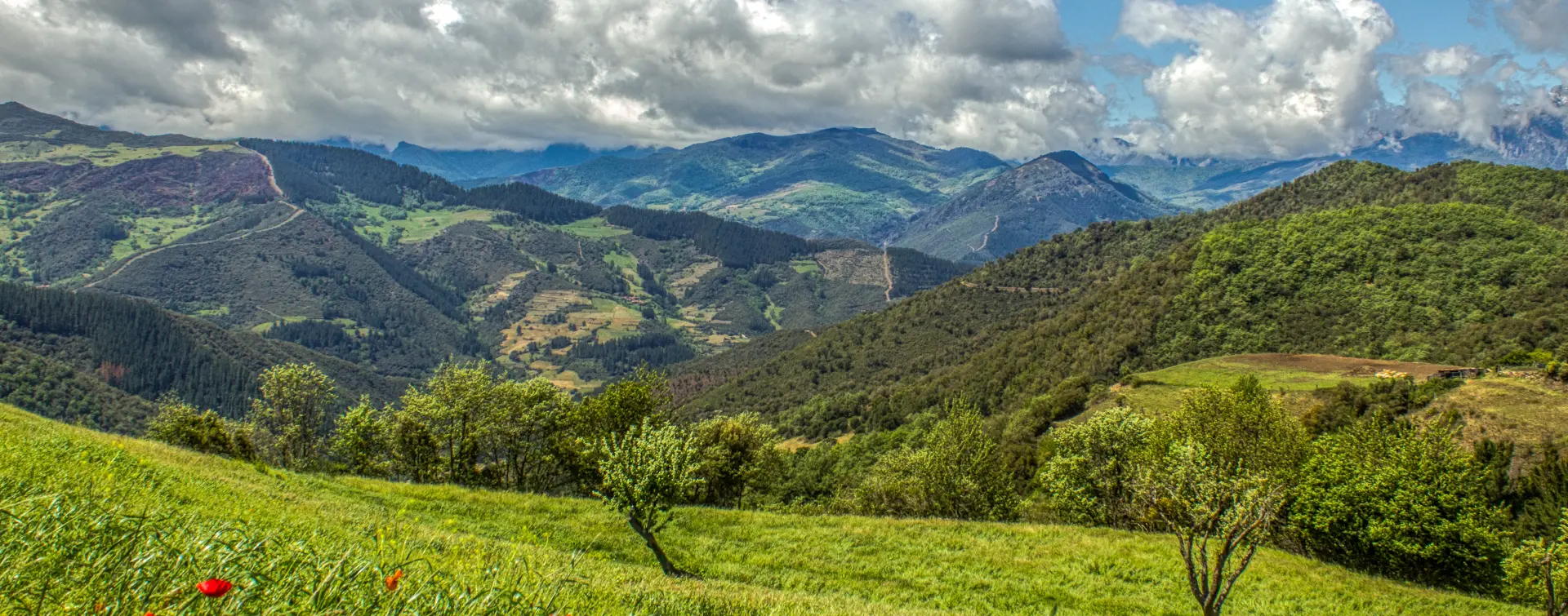 Pueblo de Cahecho en Liébana- Excursiones, Visitas guiadas, Actividades, Free tours Buendía Cantabria 