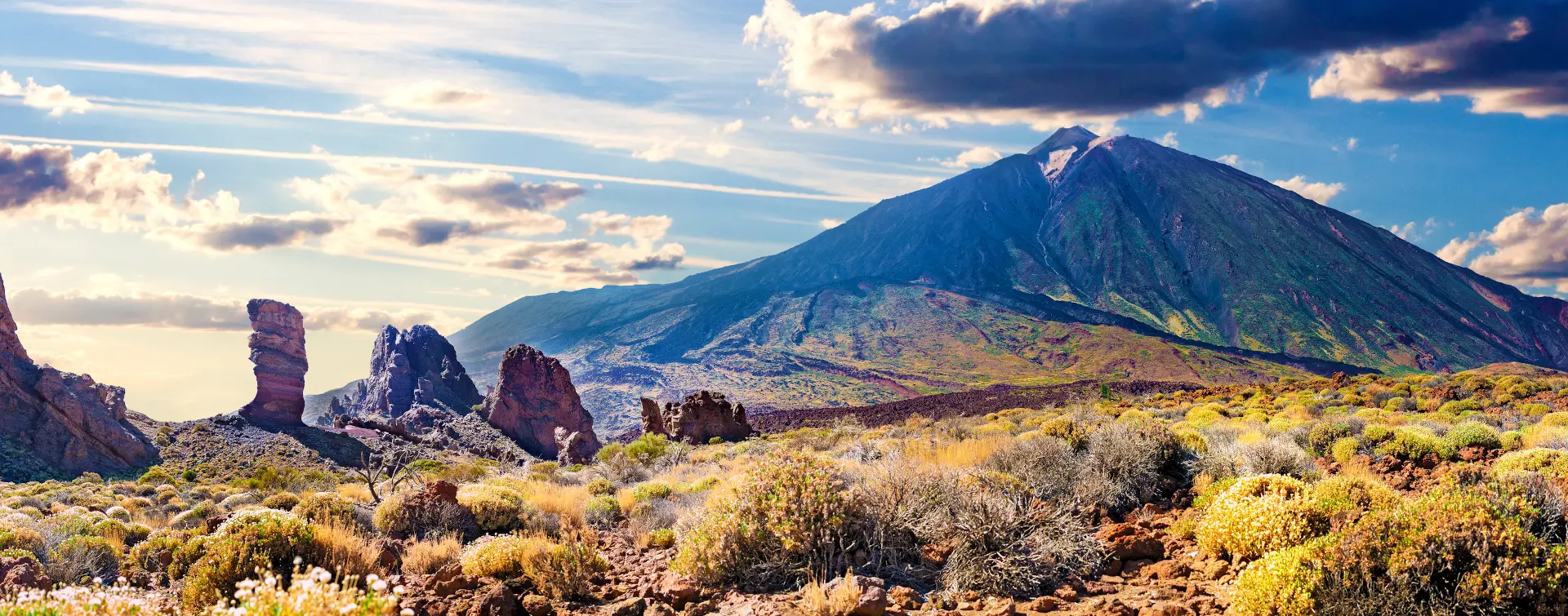 Excursión al Parque Nacional Teide desde Tenerife Sur - Visitas guiadas y Actividades Buendía Canarias