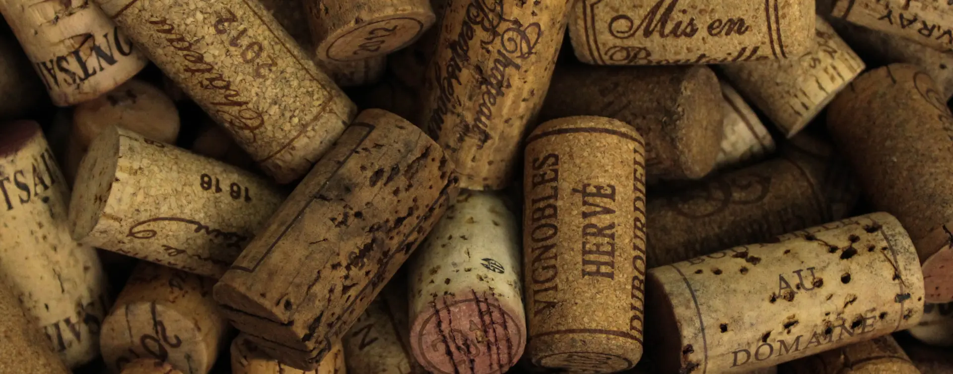 Visita Guiada a Cueva Dorretxe con degustación